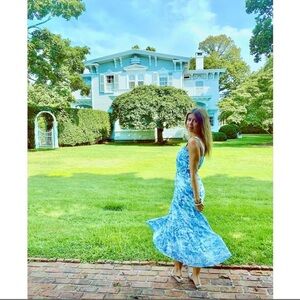 Lucy Paris toile blue Maxi Dress